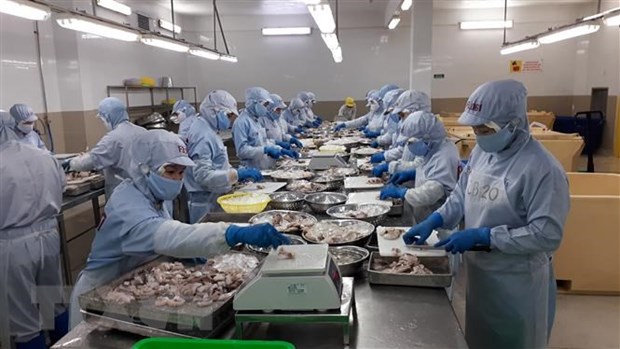 Vietnam’s export revenue from EU reaches 22 5 billion USD